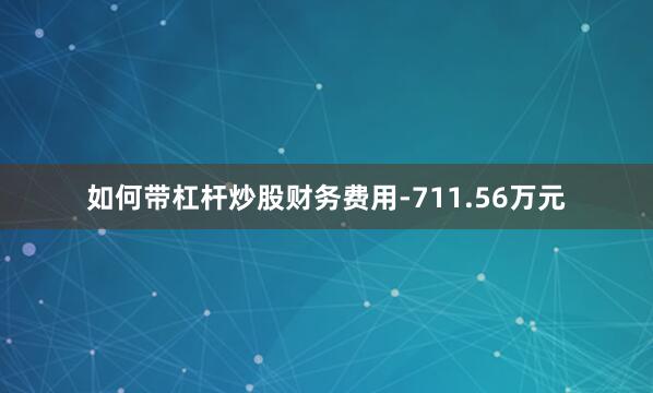 如何带杠杆炒股财务费用-711.56万元
