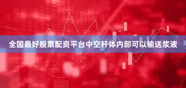 全国最好股票配资平台中空杆体内部可以输送浆液